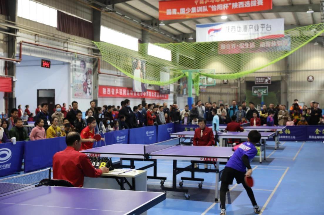 伤病困扰 伤病困扰