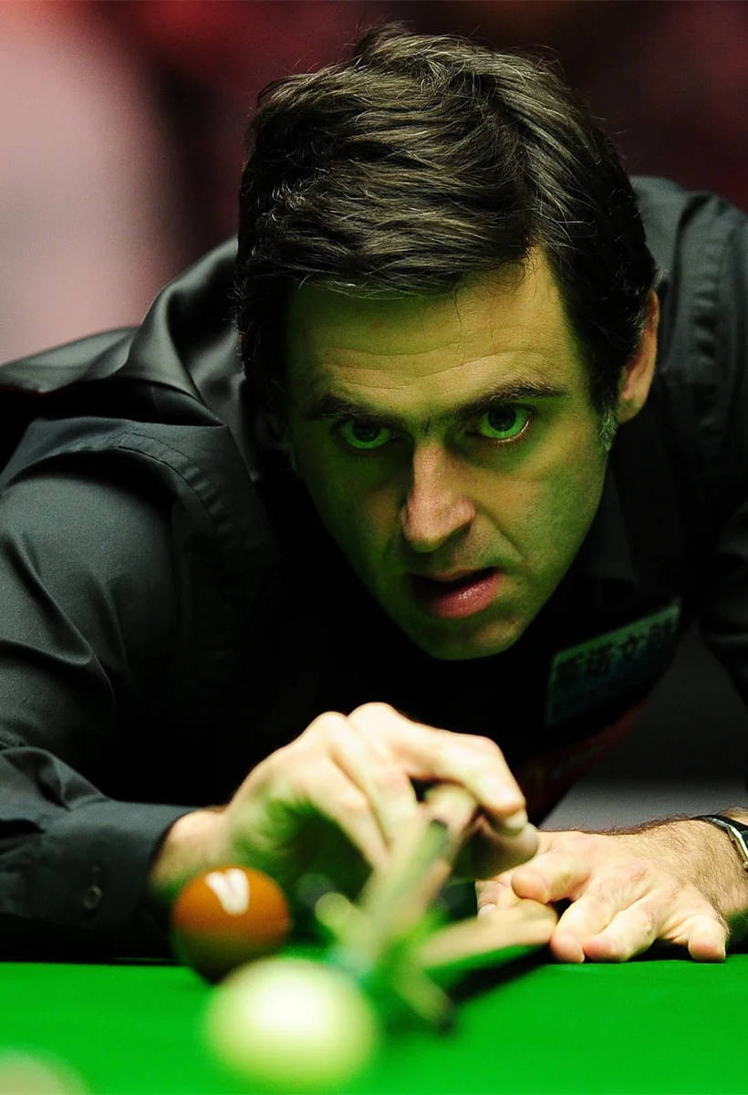 概念在某些 概念在某些