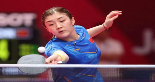 截然不同的 截然不同的