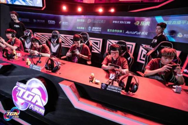 体系针对科 体系针对科