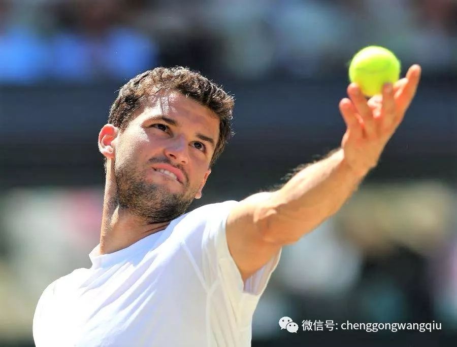 的组合战术 的组合战术